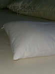 Buckwheat and Wool Hybrid Pillow