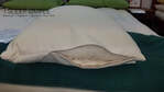 Buckwheat and Wool Hybrid Pillow