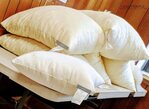 Kapok Pillow - International Sales