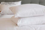 Kapok Pillow - International Sales